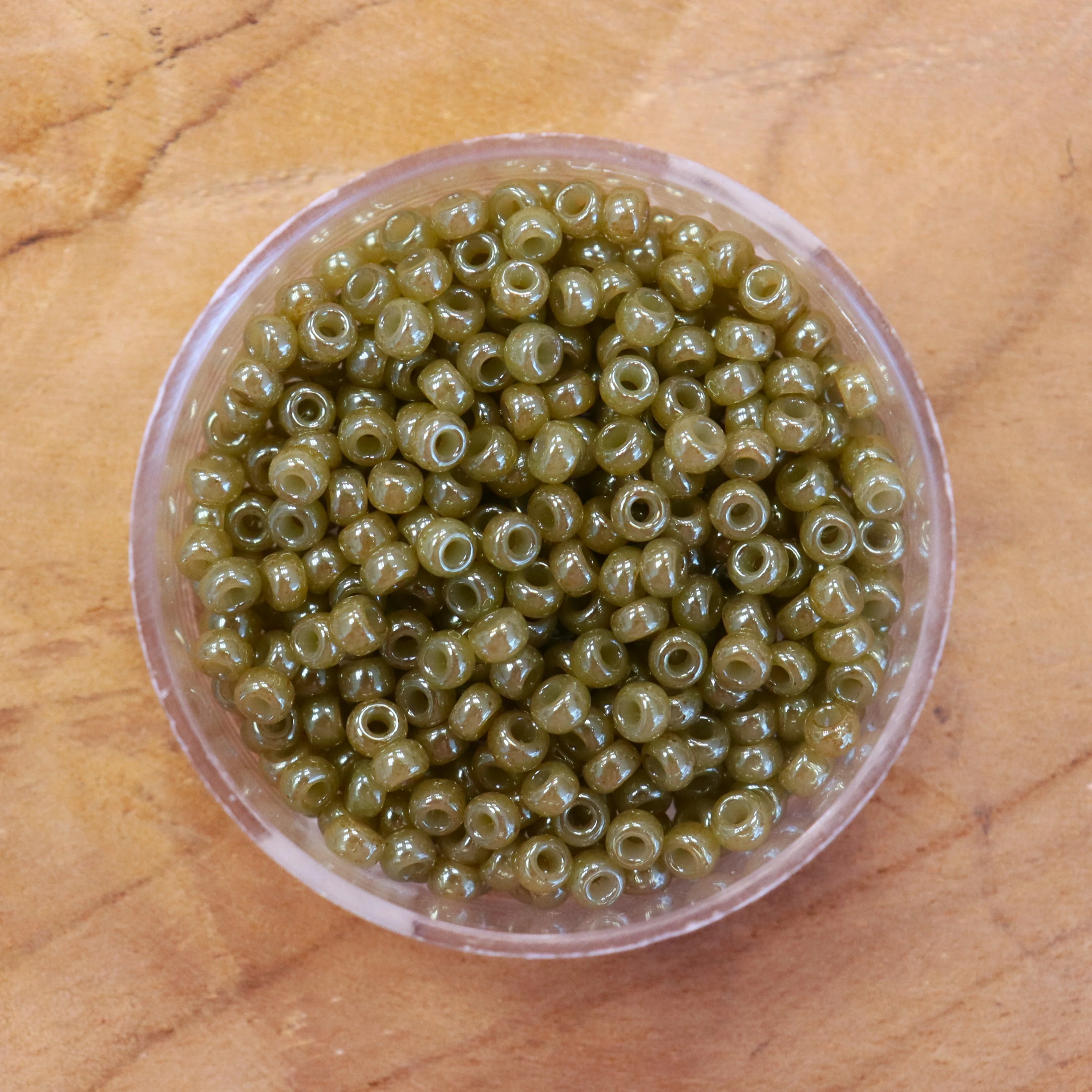 MR8-2374 Ceylon Translucent celery 10 gram